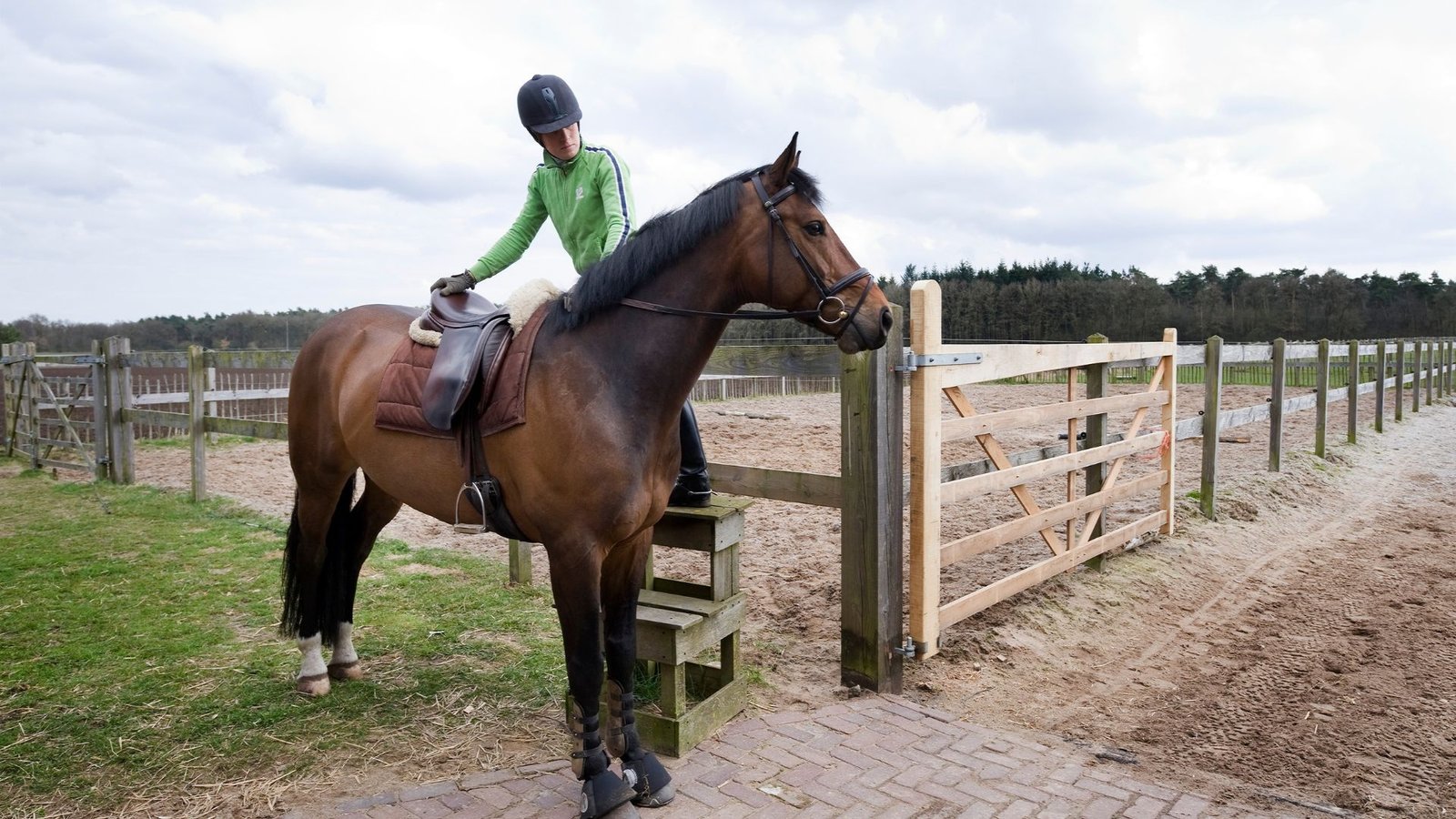 this image shows How to Teach Your Horse to Stand Still for Mounting